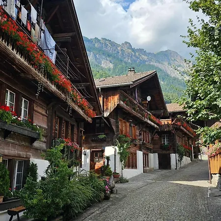 Cozy - Stunning Views * Brienz (Bern)